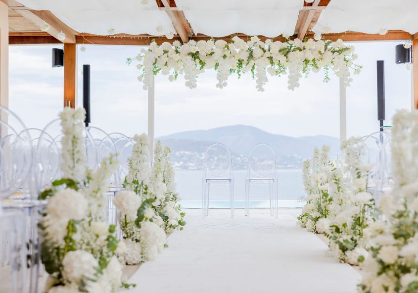 Traubogentrends 2024