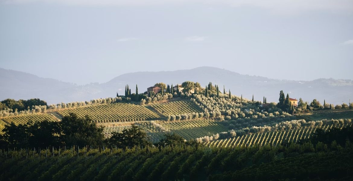 photo-1760681555325-68432fd8c7b9