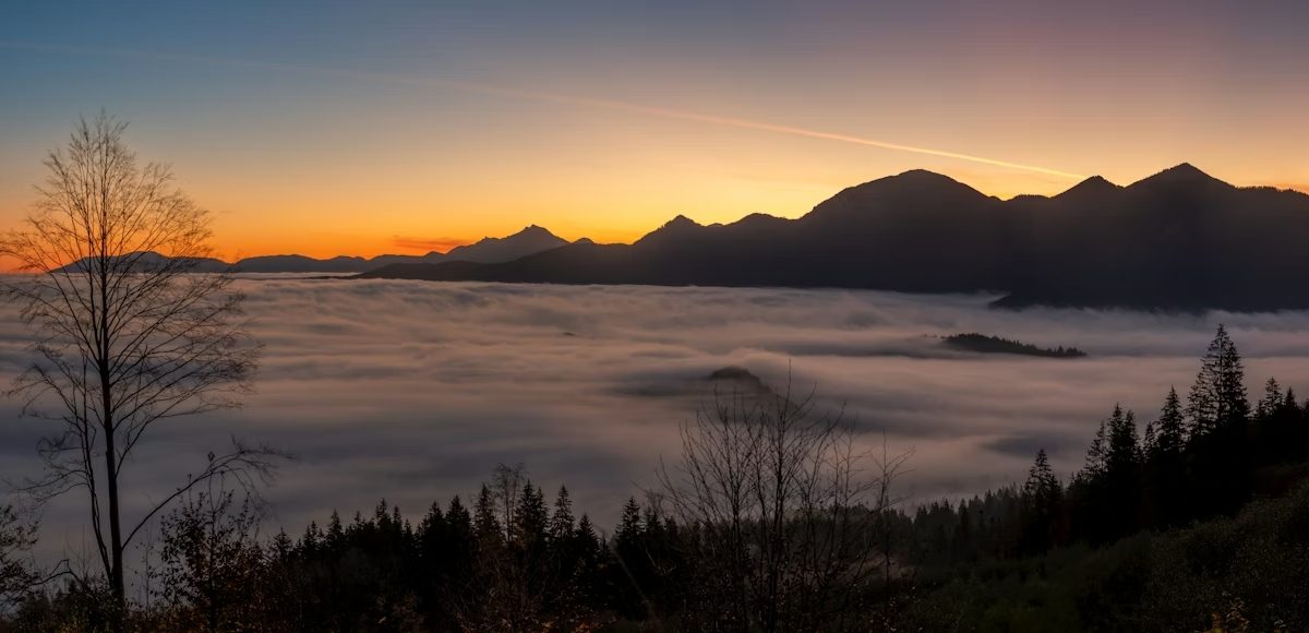 photo-1730650806535-11cf41bdde70